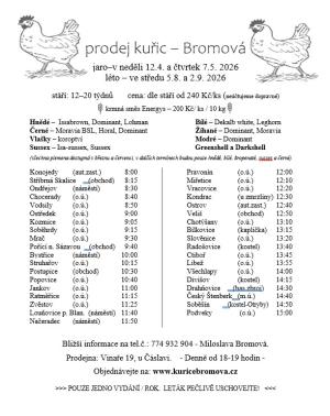 prodej kuřic na farmě